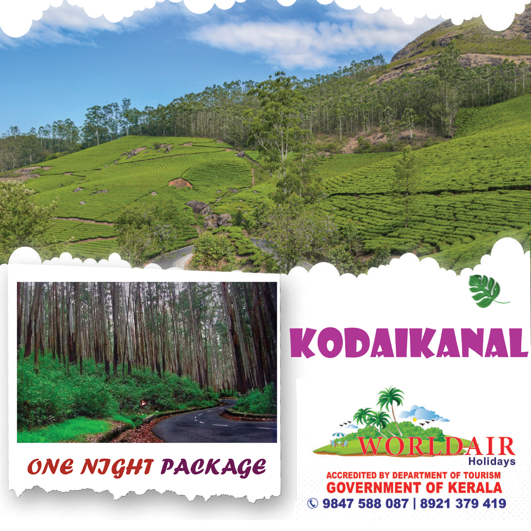 KODAIKANAL ONE NIGHT AT MORNINIG