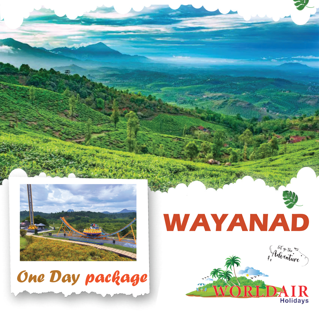 WAYANAD ONE DAY PACKAGE