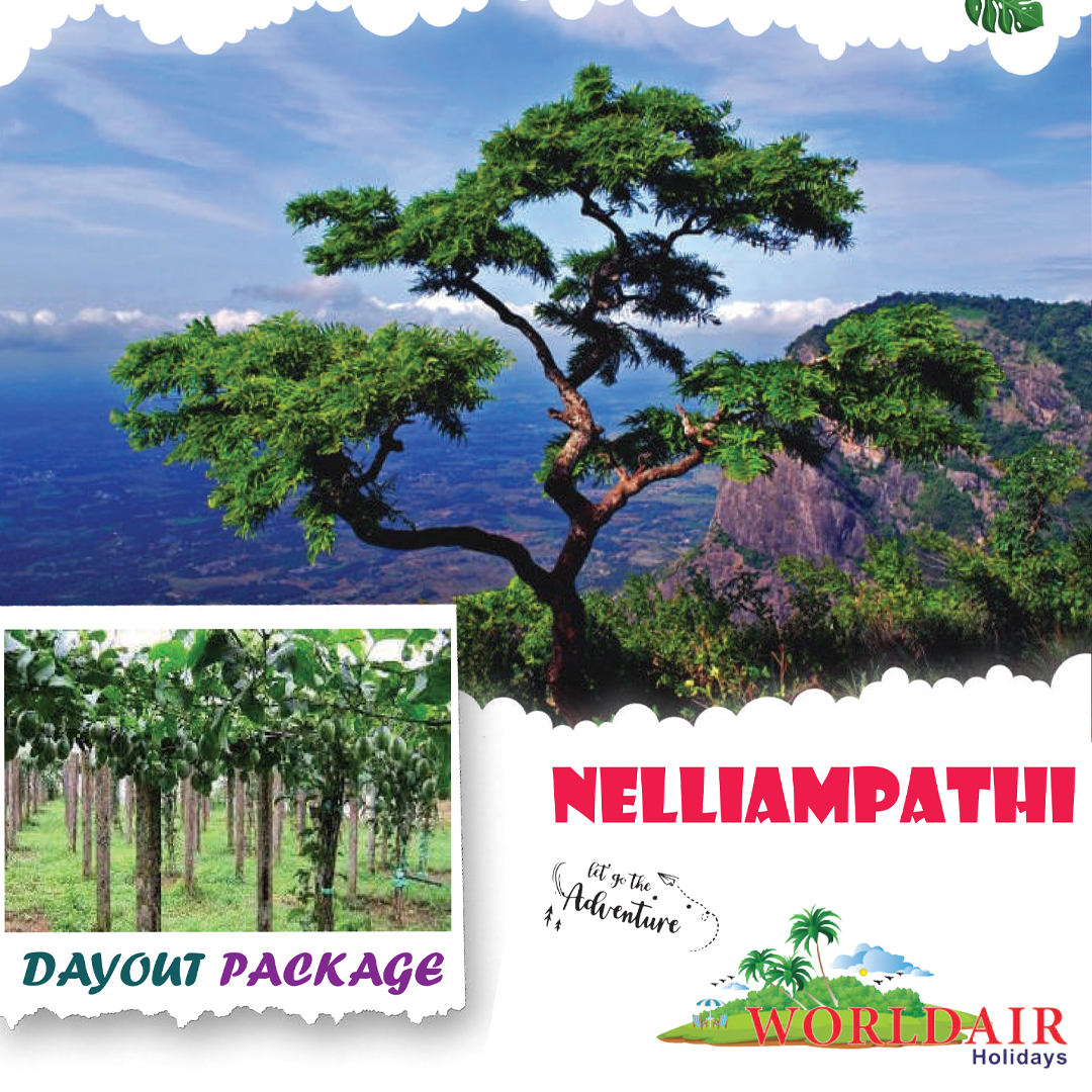 NELLIYAMPATHY DAY OUT 