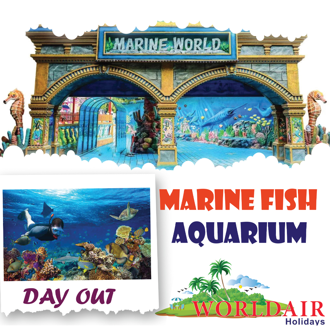 MARINE WORLD DAY OUT PACKAGE
