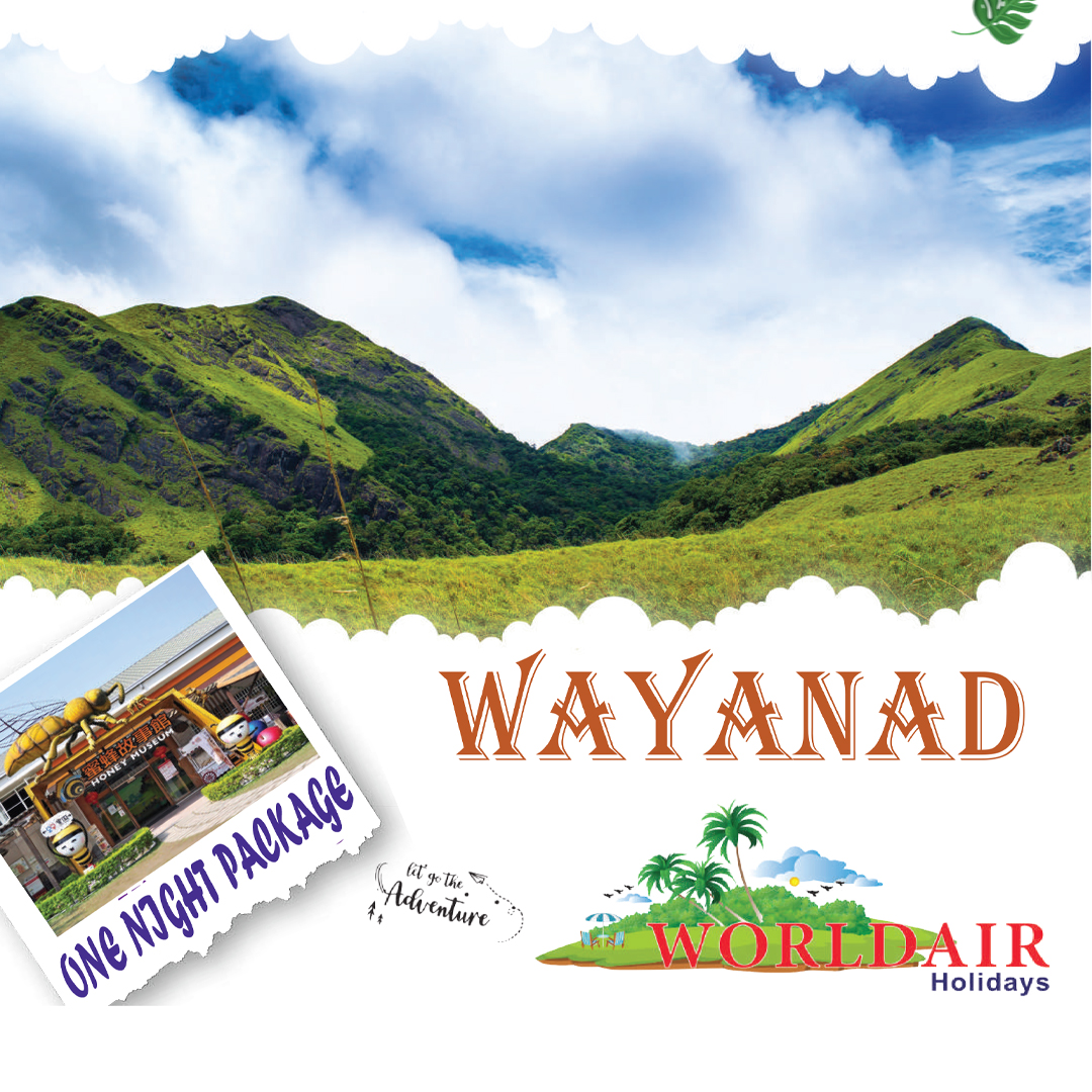 WAYANAD ONE NIGHT 